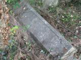 image of grave number 543953